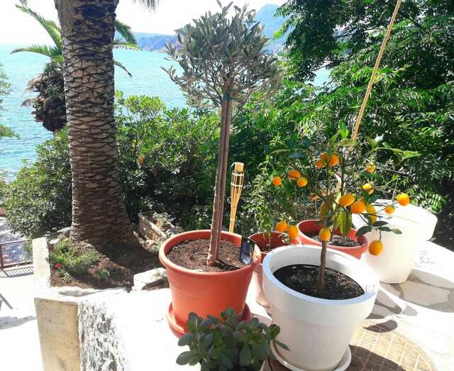 Апартаменты Two Palms Apartment Сутоморе-41